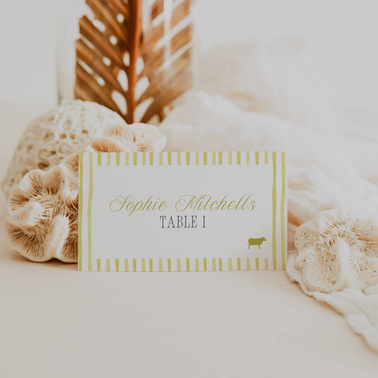 Island Citrus retro striped wedding place card