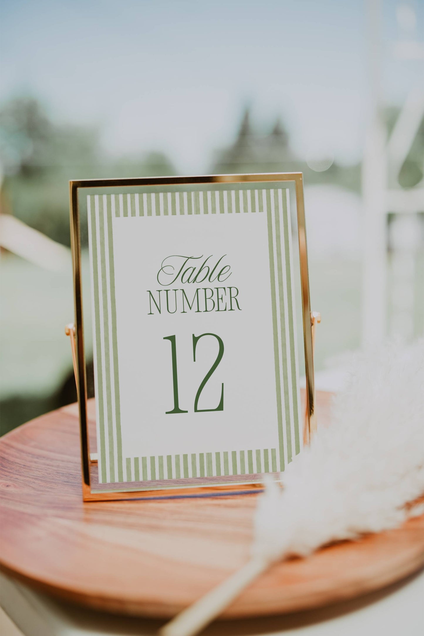 Essential Sage Green Striped Wedding Stationery & Reception Template Bundle - Daisy