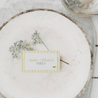 Island Citrus wedding place card styled shot