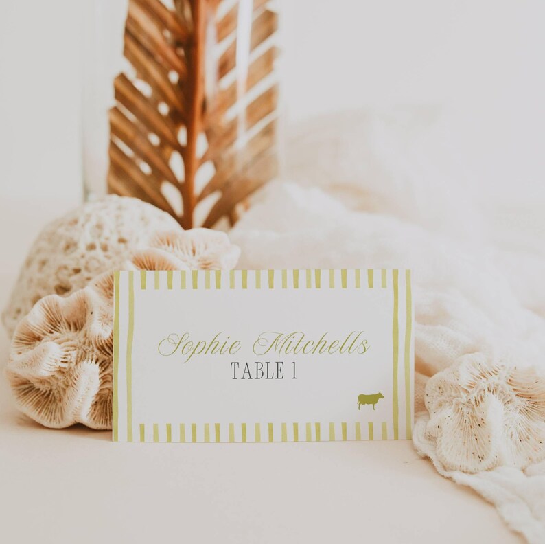 Island Citrus wedding place card styled shot