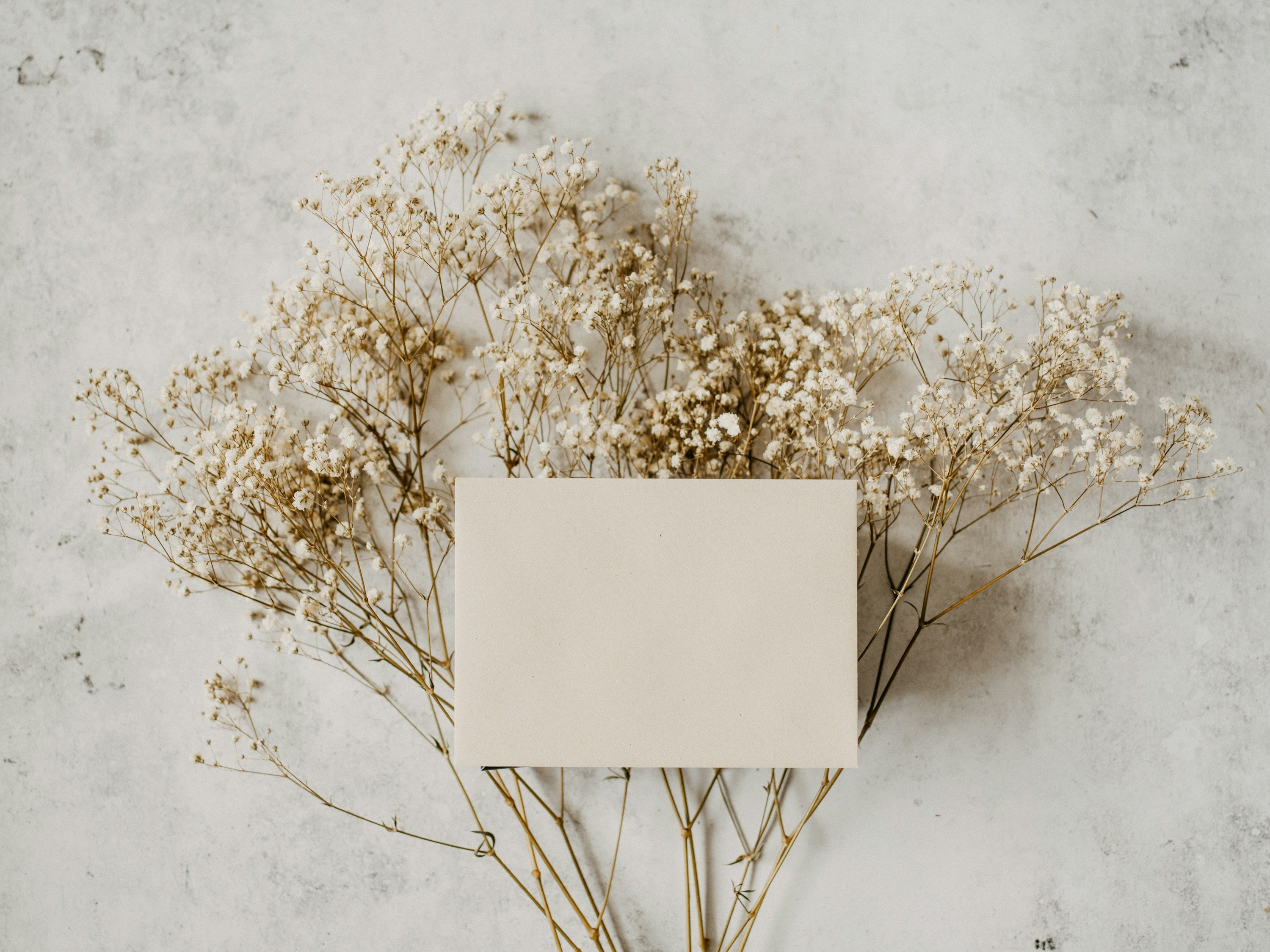 Blank card tucked behind dried baby's breath on a neutral stone backdrop